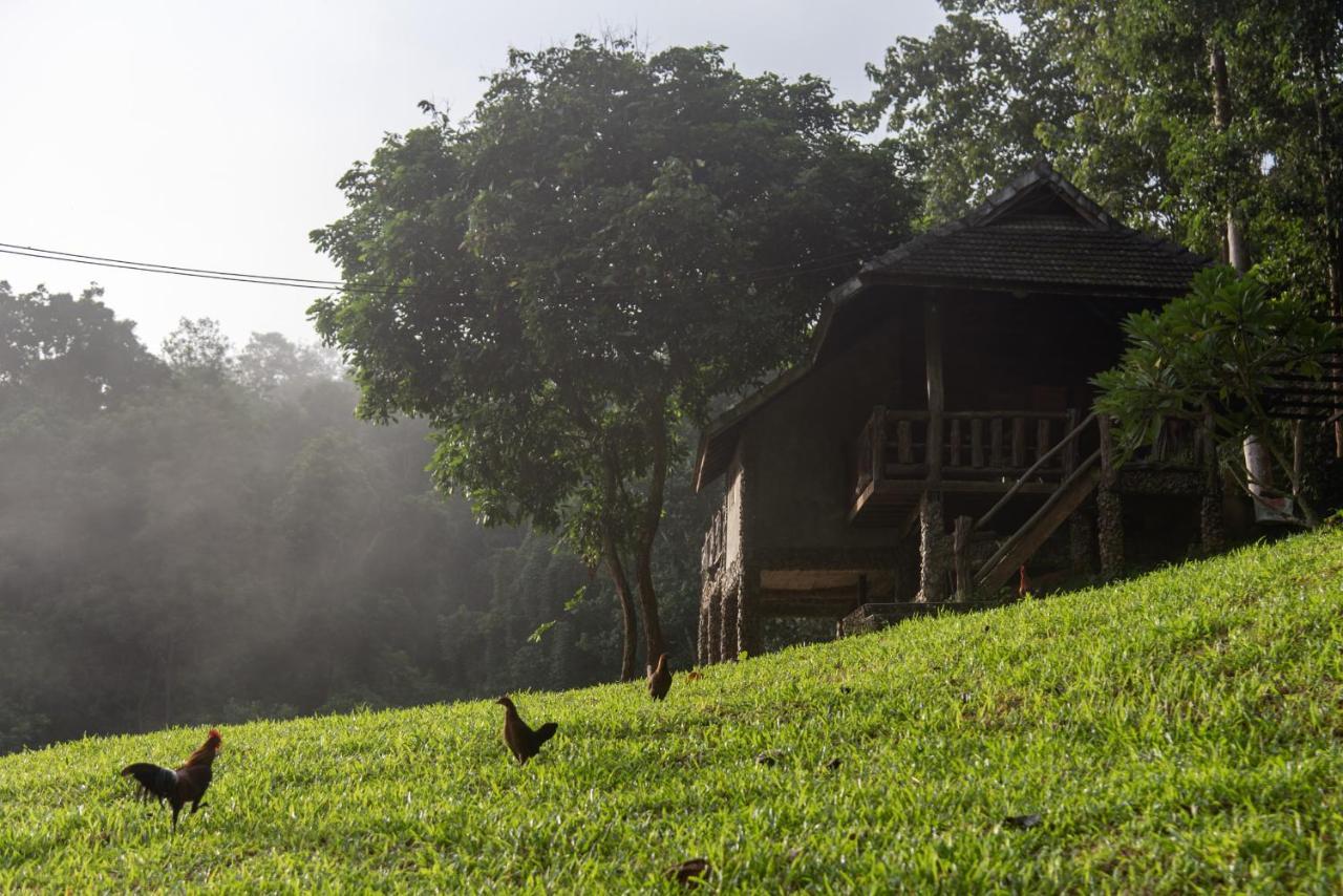 Tawan Riverside Mae Wang Dış mekan fotoğraf